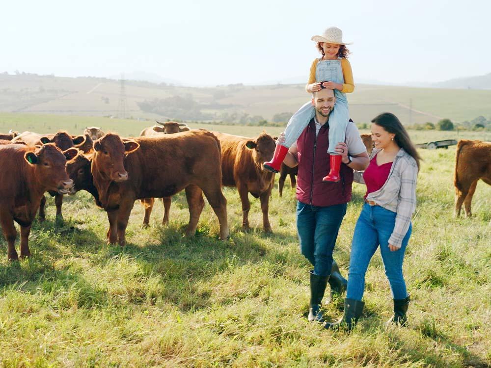 family walking in cow pasture